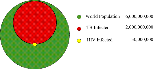 TB and HIV Infection Levels in year 2000