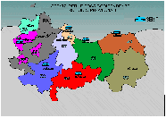 sertico1.gif (5142 byte)