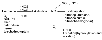Nitric Oxide and Propofol