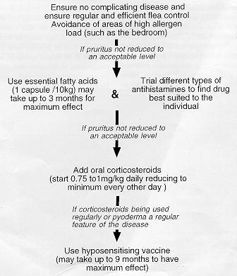 Flow diagram of treatment approach